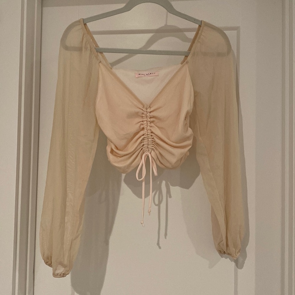 Blush Pink Sheer Long Sleeve Top